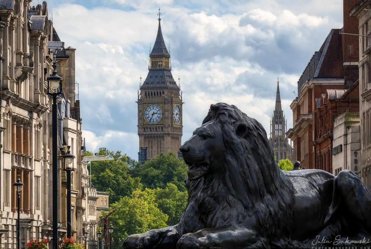 Lion on Trafalgar square, London