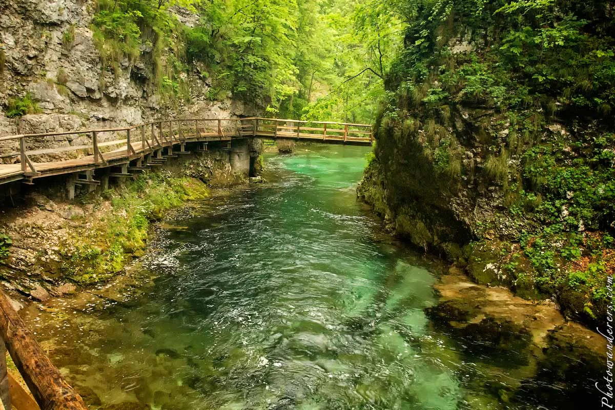 Vintgar Gorge, Slovenia. Emerald water, wooden boardwalks, grey rock walls.