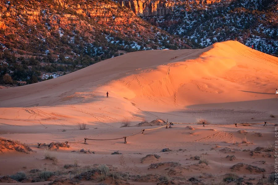 Coral Pink Sand Dunes State Park, Utah