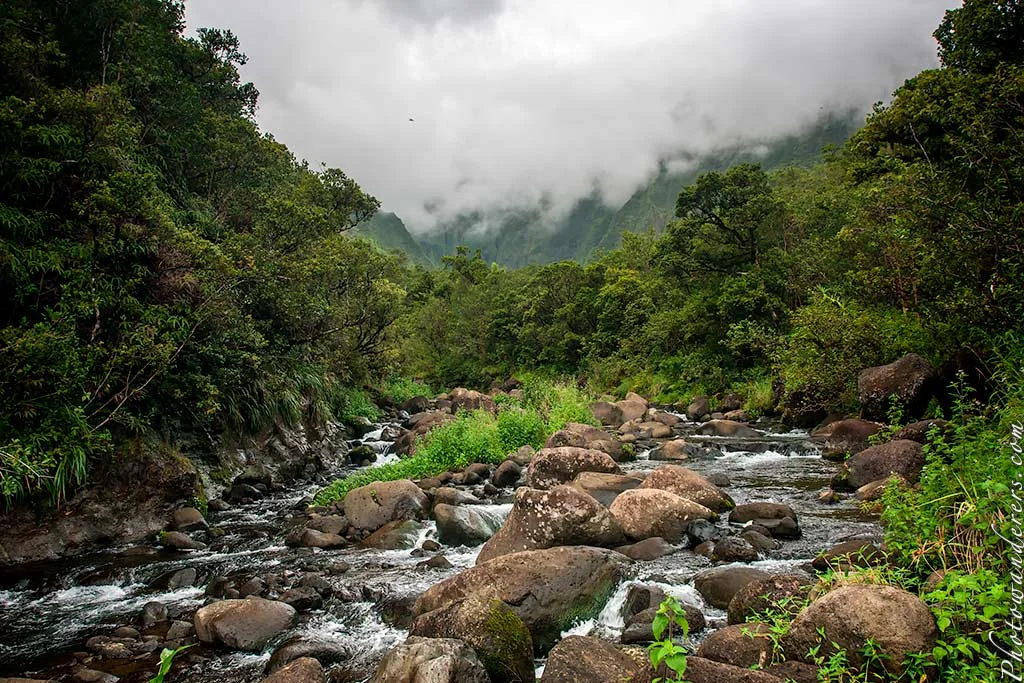 Wailua River headspring