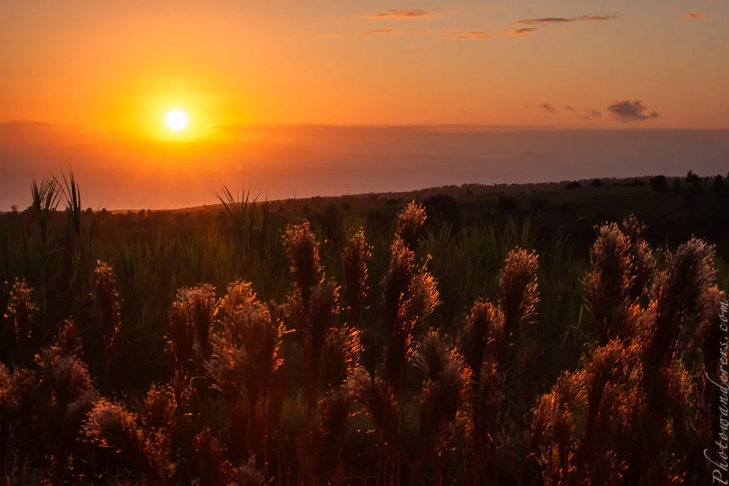 Sunset on Waimea Canyon Road, Kauai, Hawaii