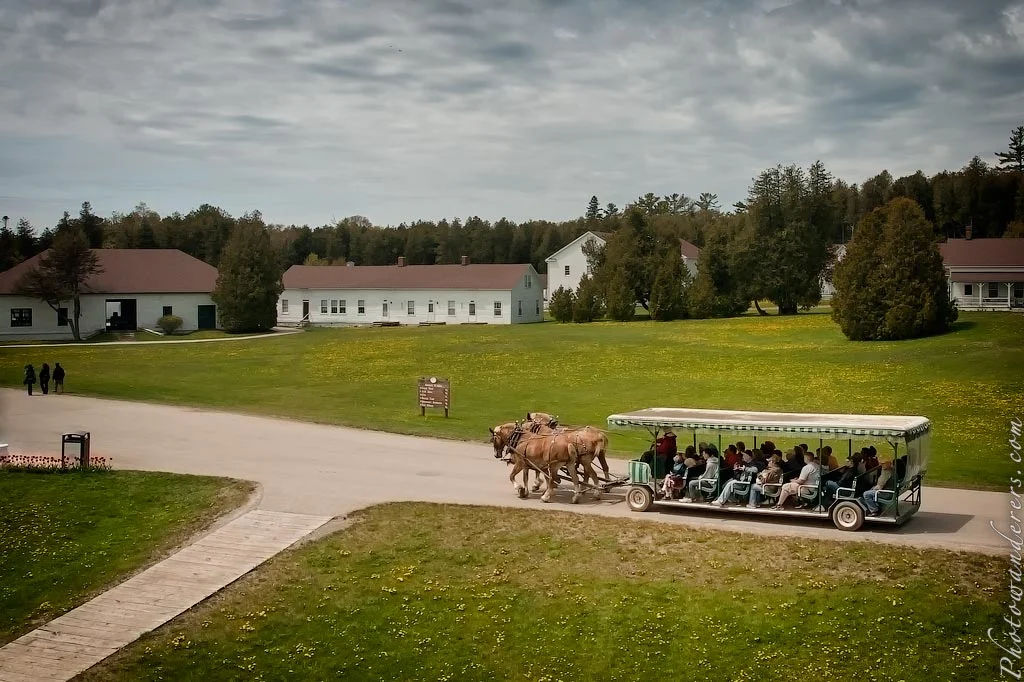 Horse-drawn tour carriage