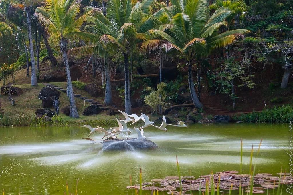 Flight of the Tropic Birds by Pancho Vinning