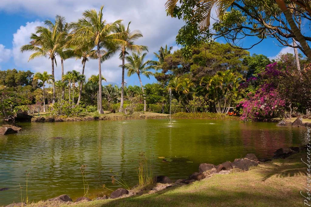 Lagunе in Na ‘Aina Kai formal Garden