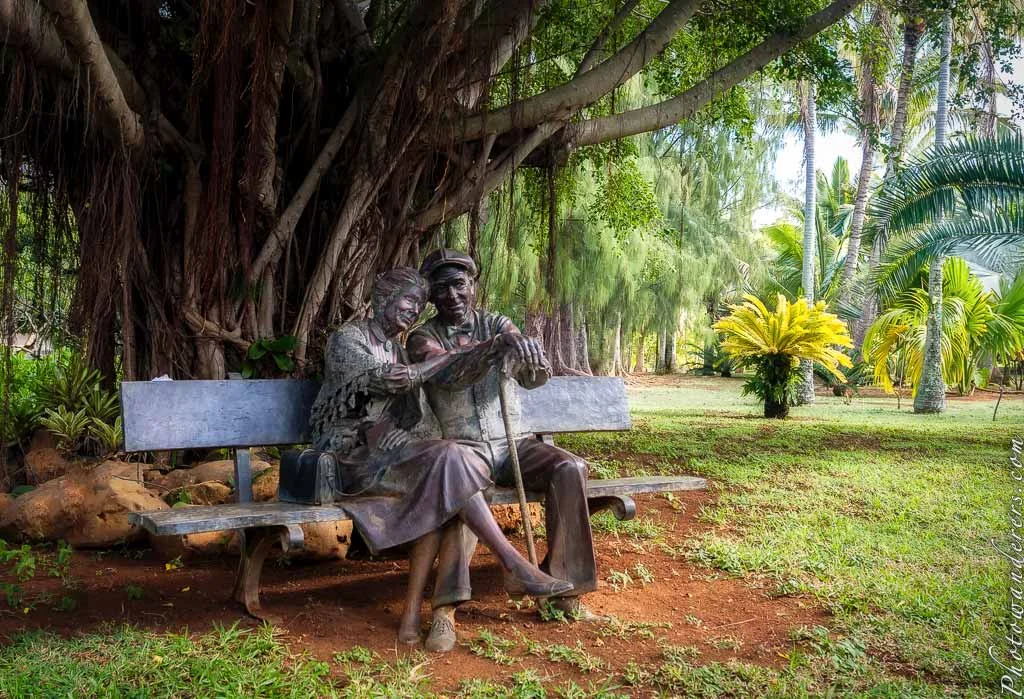 Elderly couple under banyan