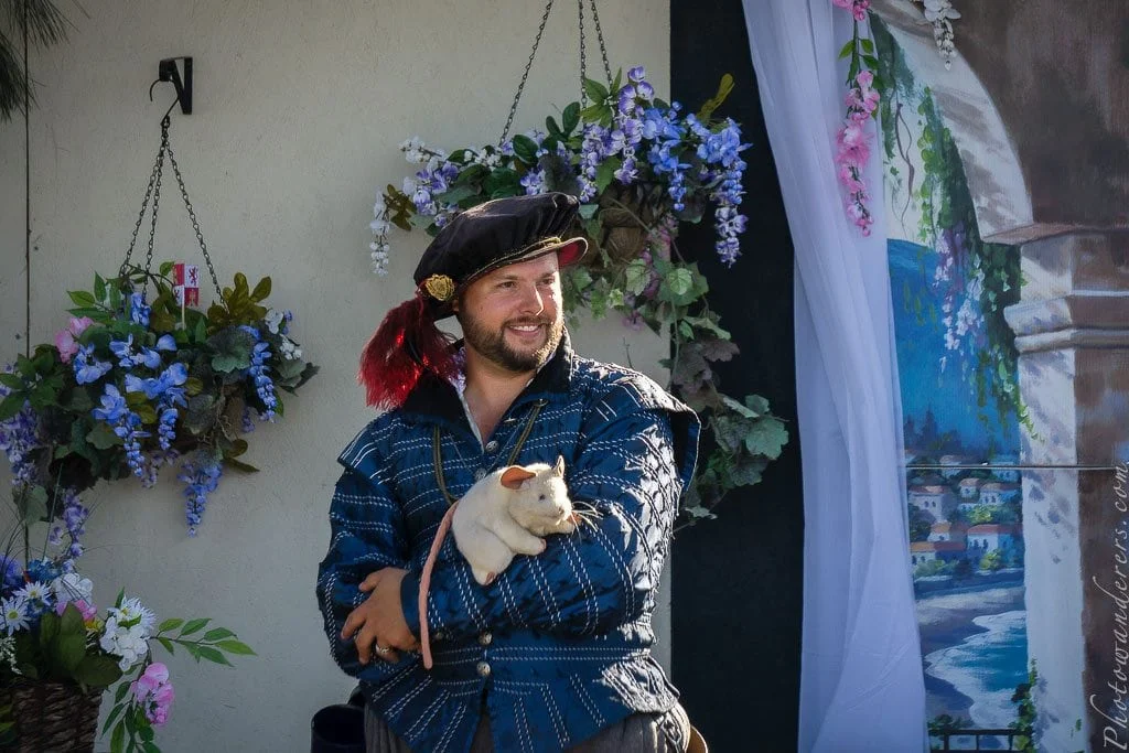 A Florentine gentleman with his pet rat on his shoulder.