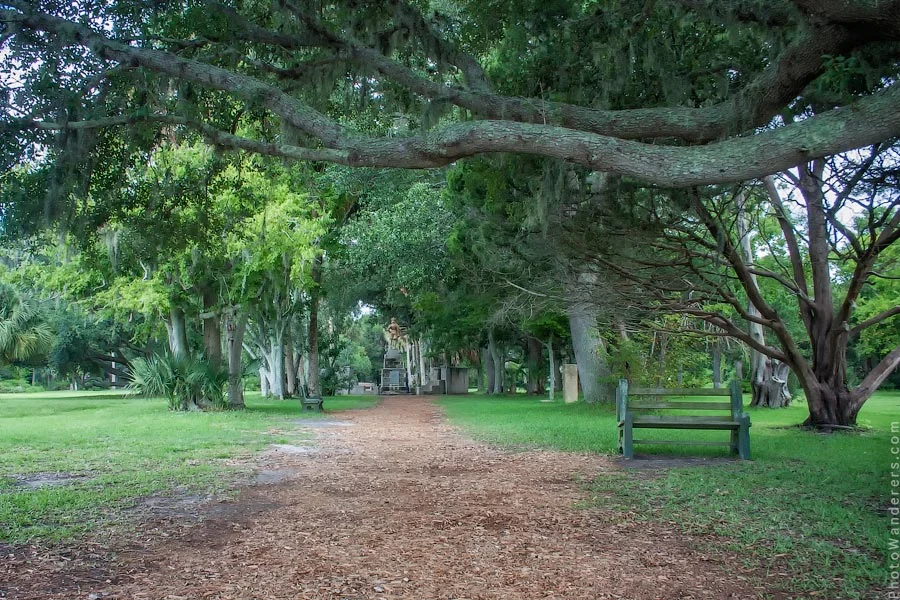 Tree-lined path with Spanish moss in St. Augustine park