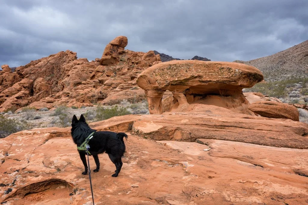Jack and Piano Rock, Valley of Fire, Nevada