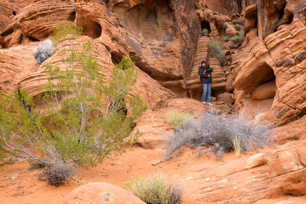 Jack the mountaineer and his Sherpa Alex, Valley of Fire, Nevada